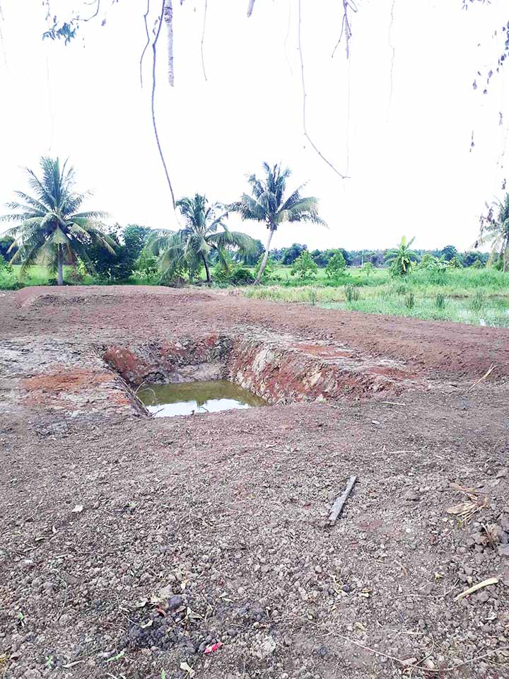 ขายที่ดินคลอง8 บึงบอน ปทุมธานี 133ตรว ถมแล้ว เหมาะปลูกบ้านสวน บรรยากาศดี น้ำไฟครบ ขายราคาถูก